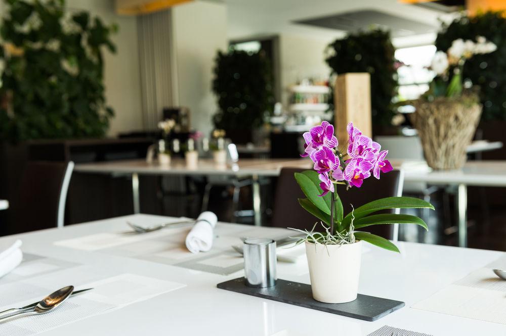Hotel Apart - Welcoming L Urban Feel L Design Risch-Rotkreuz Luaran gambar